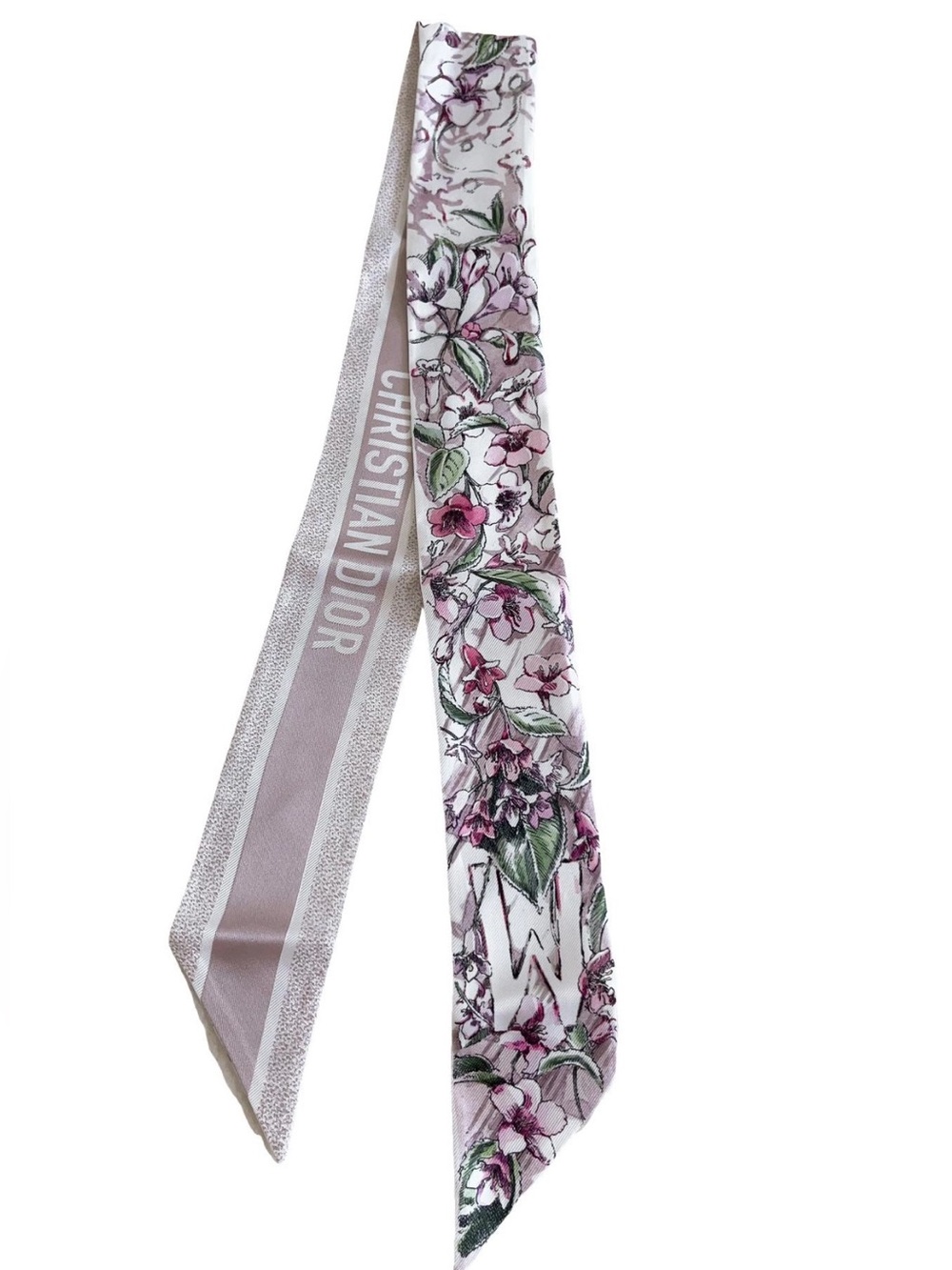 Dior Jardin D’hiver Mitzah Silk Scarf